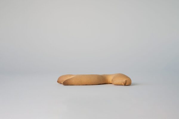 Biscotti artigianali "Del Convento" con lievito madre